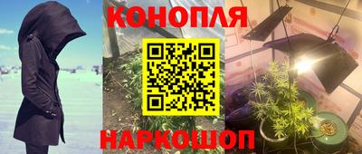mdpv Красноармейск