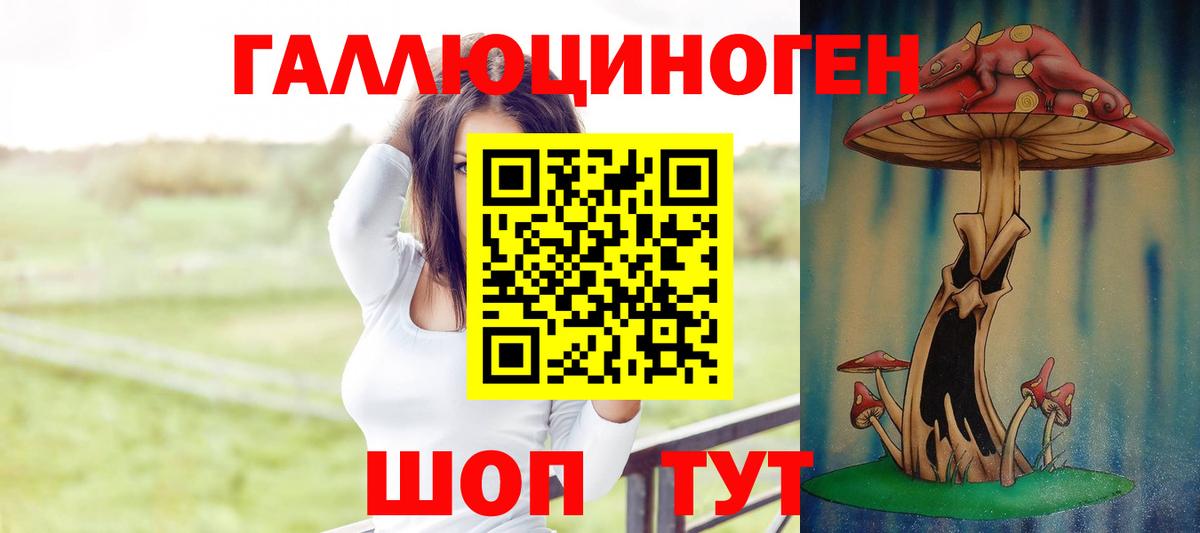 Галлюциногенные грибы Psilocybe Владикавказ